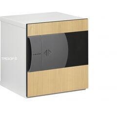 KASO E2 308 серый, берёза, фото , изображение 2ТРЕЗОР