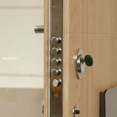 Guard Basic door, фото , изображение 2ТРЕЗОР