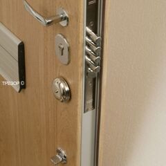 Guard Basic door, фото , изображение 3ТРЕЗОР