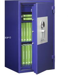 Diplomat Carena ES1200E, фото , изображение 2ТРЕЗОР