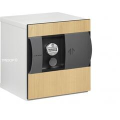 Сейф Kaso E3 308 серый, берёза, фото , изображение 2ТРЕЗОР