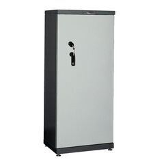 Bordogna S8200E, Вариант исполнения: Электронный, фото ТРЕЗОР