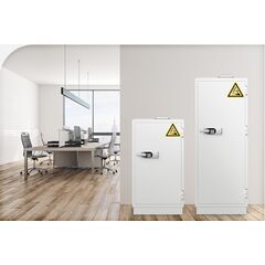 Diplomat BSS6502, фото , изображение 4ТРЕЗОР