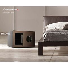 Diplomat Combi5 золотистый, Цвет: Золотое шампанское, фото , изображение 4ТРЕЗОР