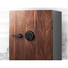 Diplomat DBAUM 500, фото , изображение 5ТРЕЗОР