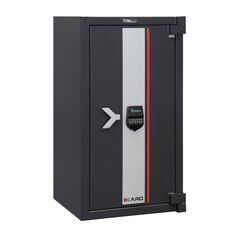 Bordogna IKARO 110E, фото ТРЕЗОР