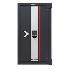 Bordogna IKARO 110E, фото , изображение 2ТРЕЗОР