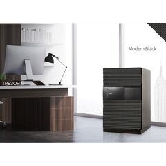 Diplomat NEXT 6500 black, Вариант исполнения: Чёрный с биометрическим замком, фото , изображение 3ТРЕЗОР