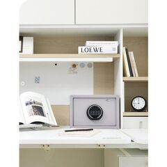 Diplomat P23E Lavender Grey, фото , изображение 2ТРЕЗОР