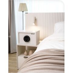 Diplomat P23E Snow White, фото , изображение 2ТРЕЗОР