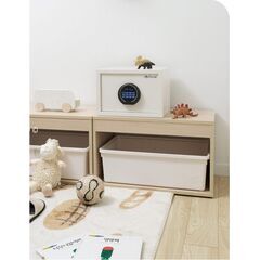 Diplomat P23E Snow White, фото , изображение 3ТРЕЗОР