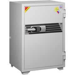 Diplomat 100DE, фото , изображение 2ТРЕЗОР