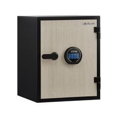 Diplomat 580WD LO, фото , изображение 2ТРЕЗОР