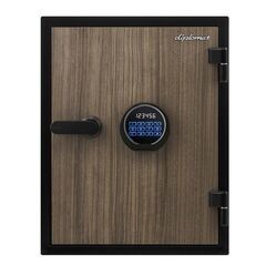 Diplomat 580WD WN, фото , изображение 5ТРЕЗОР