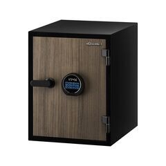 Diplomat 580WD WN, фото , изображение 4ТРЕЗОР