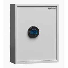 Diplomat KC100N, фото , изображение 2ТРЕЗОР