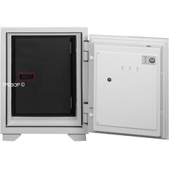 Diplomat 060DSE, фото , изображение 6ТРЕЗОР