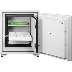 Diplomat 825DTE, фото , изображение 6ТРЕЗОР