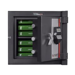 Bordogna IKARO 45E, фото , изображение 2ТРЕЗОР