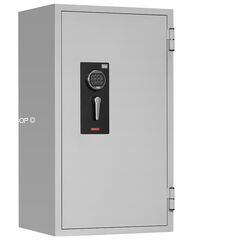 Diplomat SS120E, фото , изображение 2ТРЕЗОР