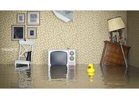 Гигиена клавиаьур