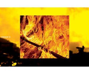 Огнестойкий сейф на яндексе